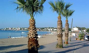 didim
