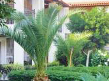 Хотел Kerem Resort - фасада