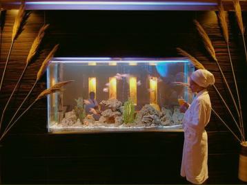 Hotel Delphin Botanic - СПА център