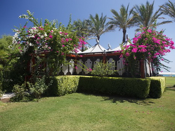 Cornelia Deluxe Resort - бар